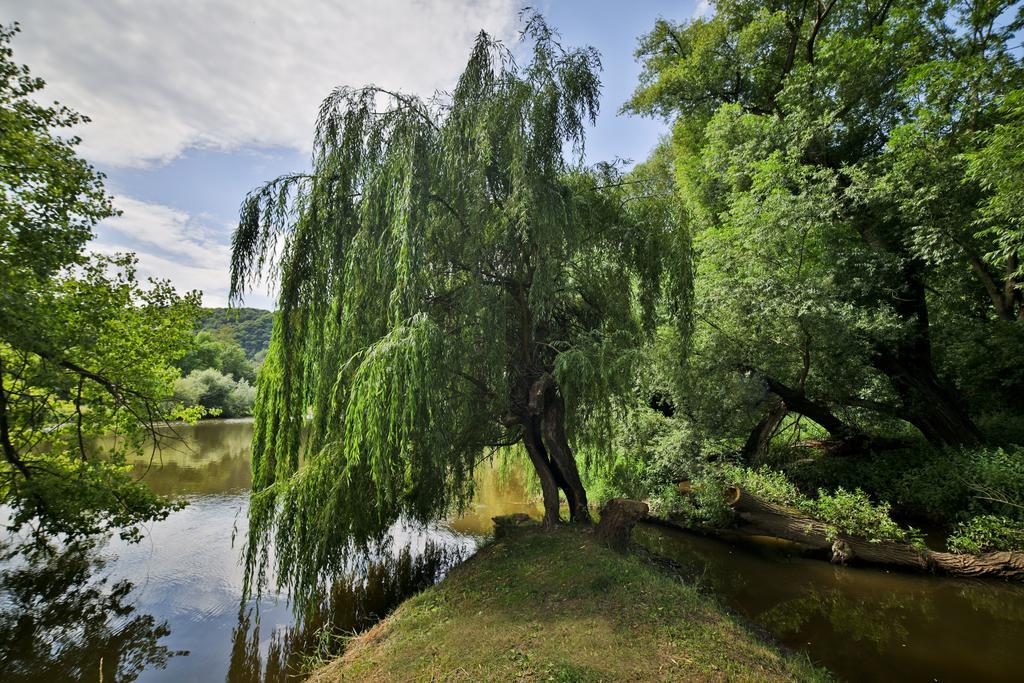 Romantic Hotel Mlyn Karlstejn Luaran gambar